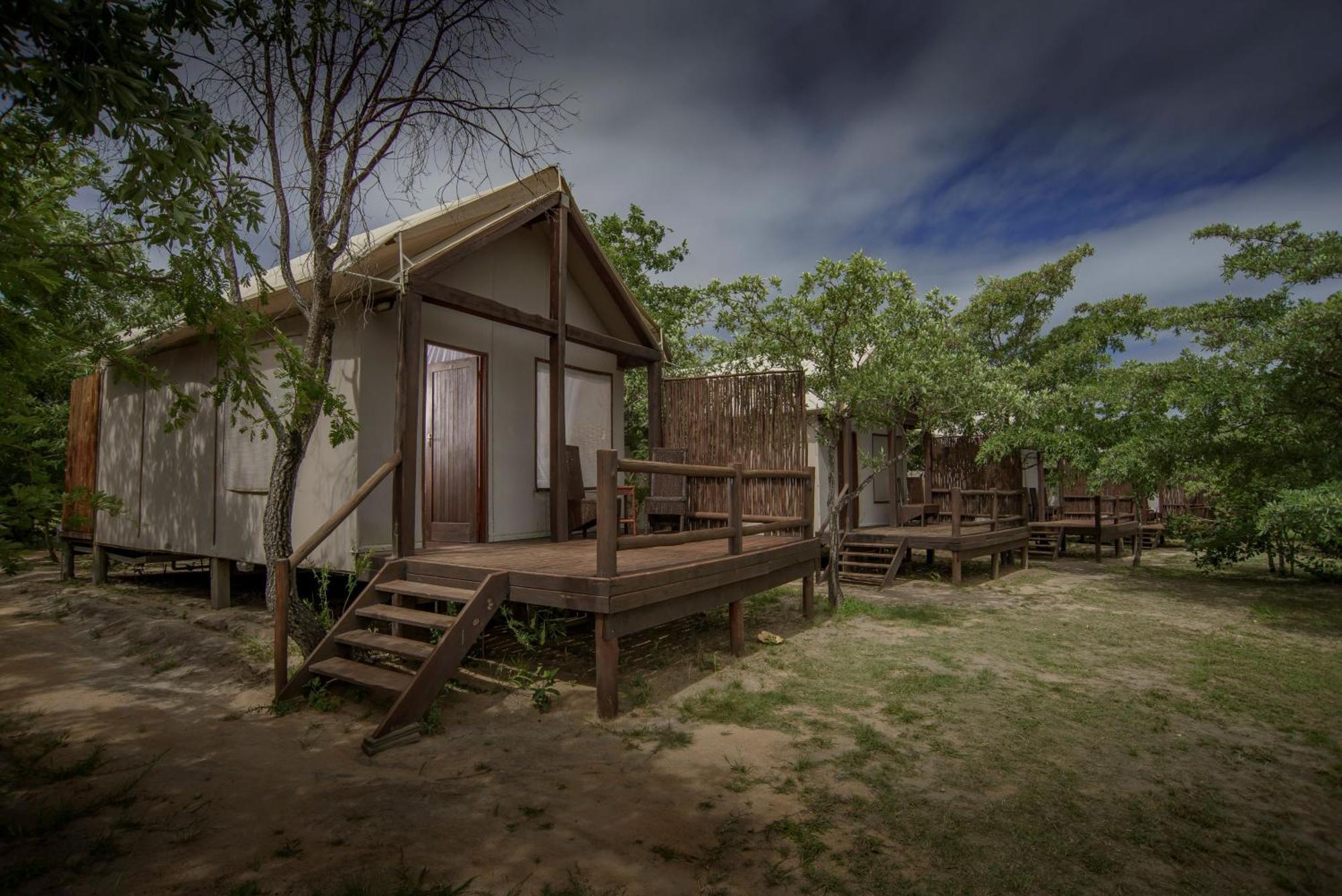 הוילה Mtimba Nkambeni Safari Camp מראה חיצוני תמונה